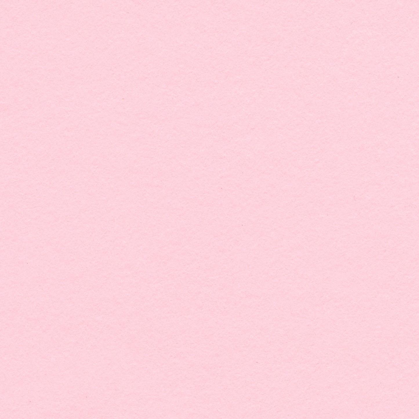 Priscilla OnlyFans header