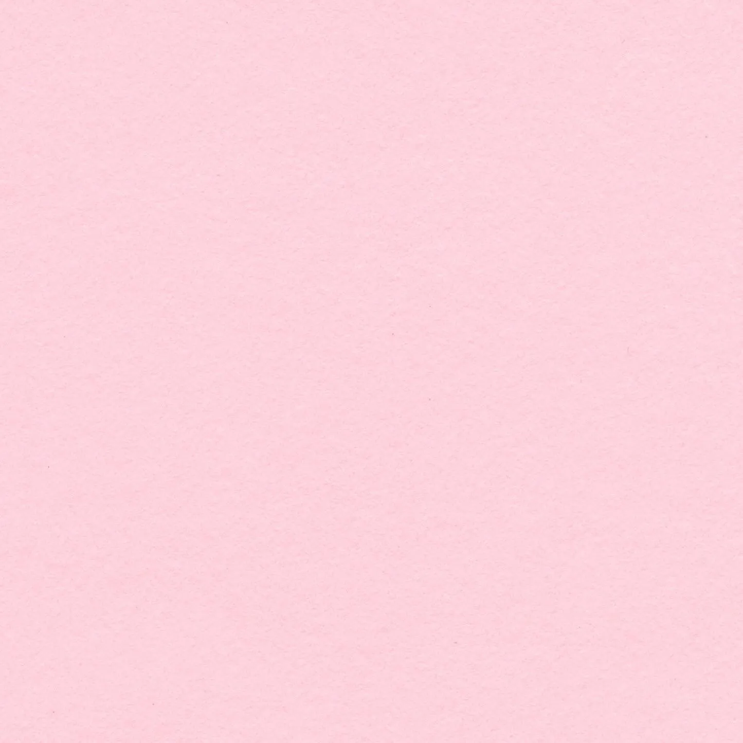 Priscilla OnlyFans header