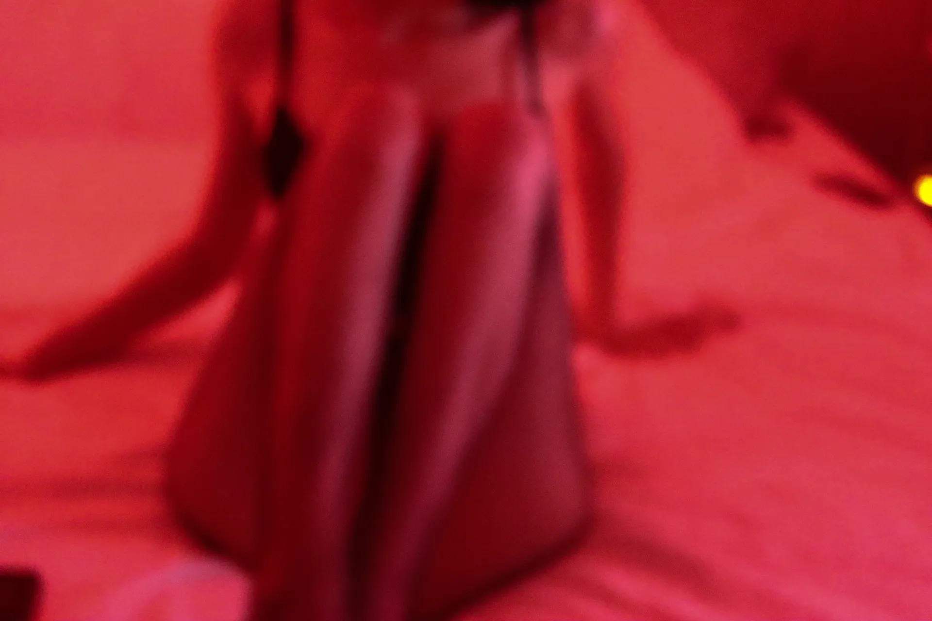 arina_gp OnlyFans header