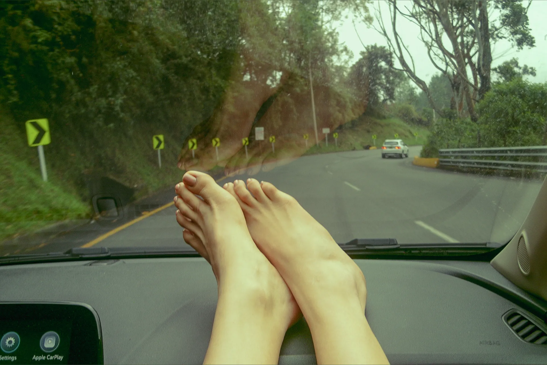 Ártica Copper OnlyFans header