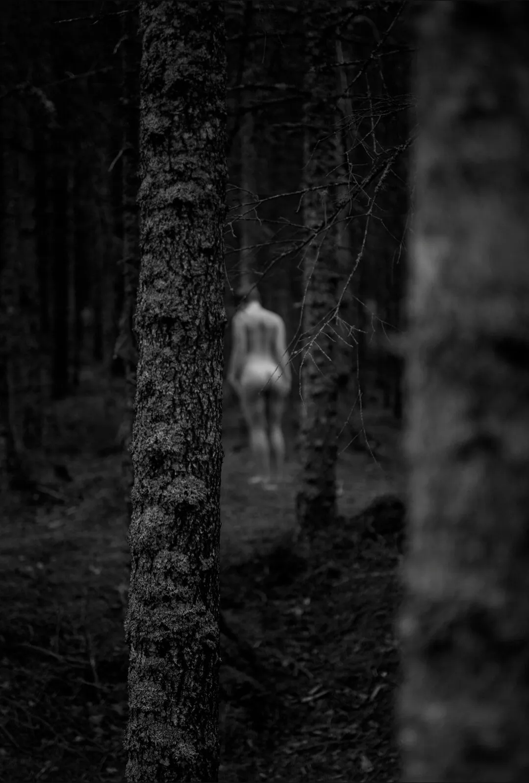 Art of Emilie OnlyFans header