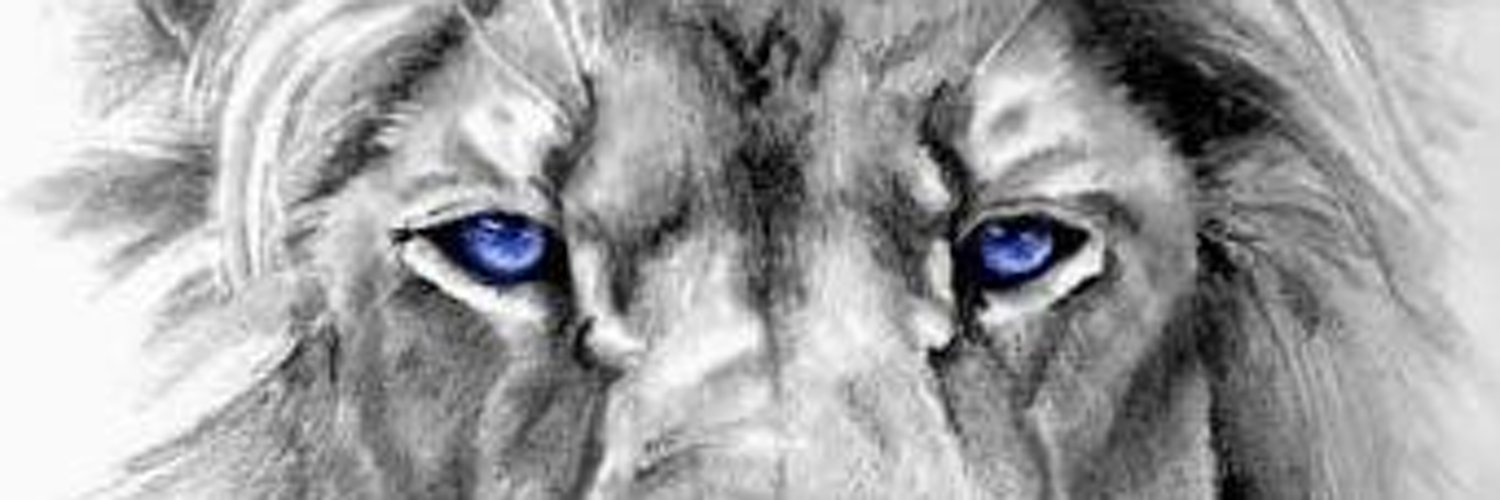 artvillasboas OnlyFans header