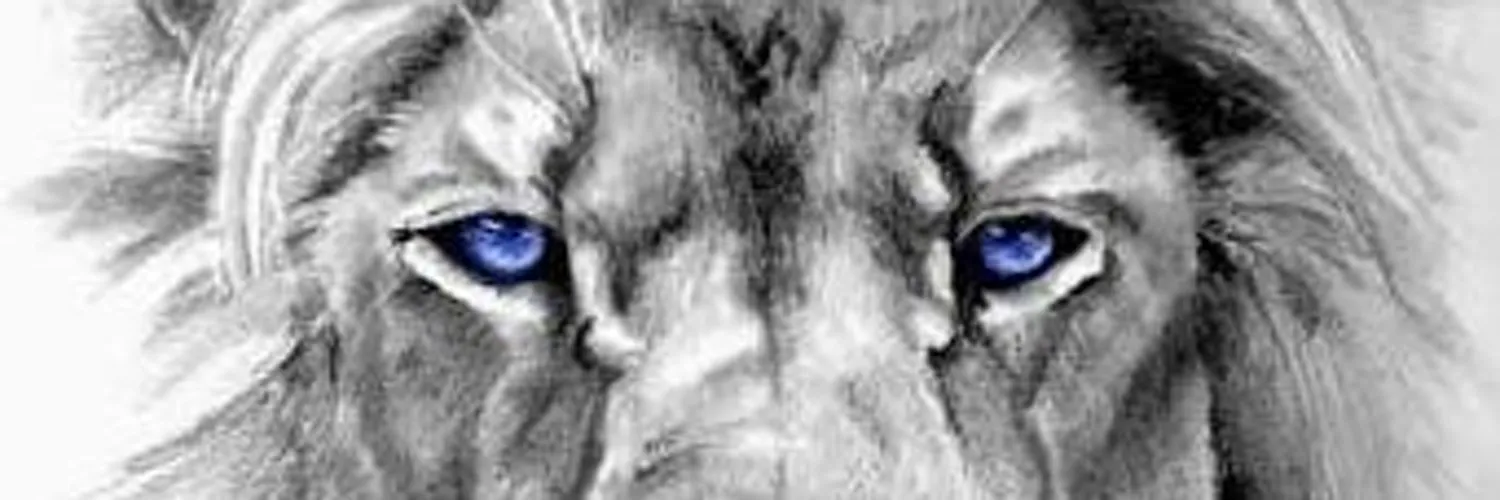 artvillasboas OnlyFans header