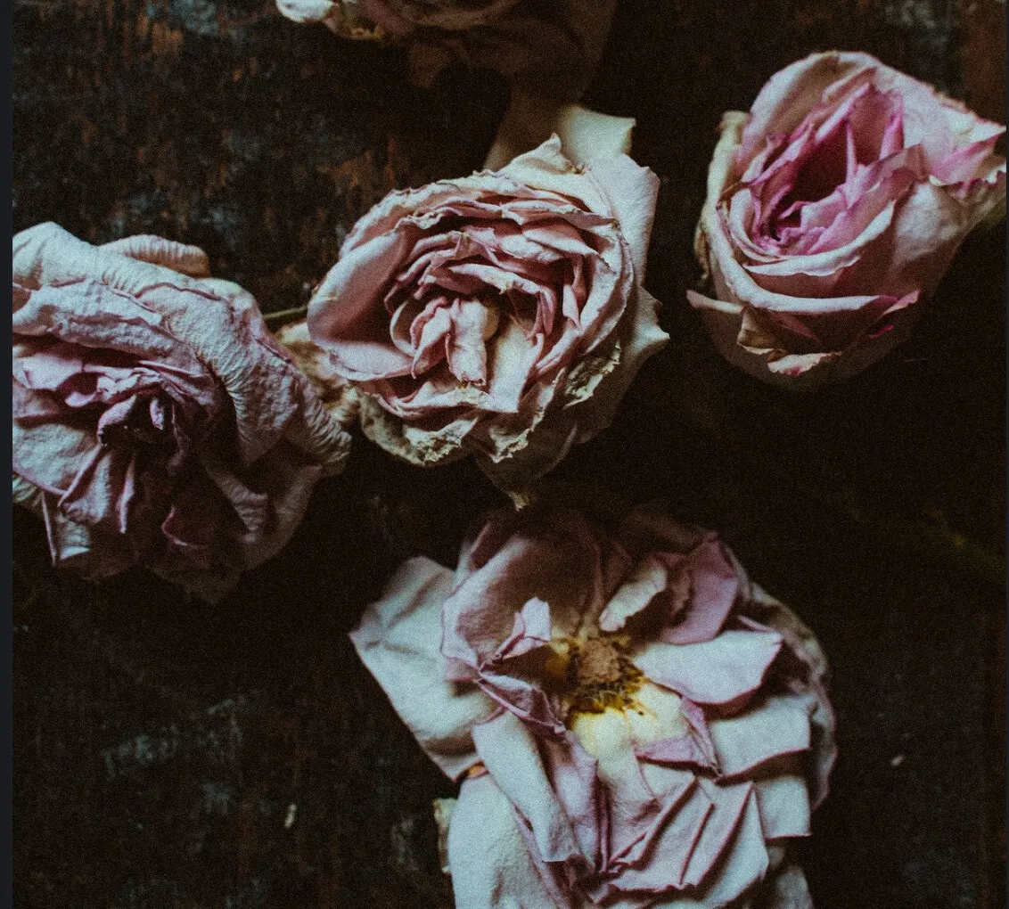 Ashalina OnlyFans header