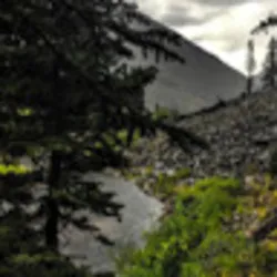 Ash OnlyFans header