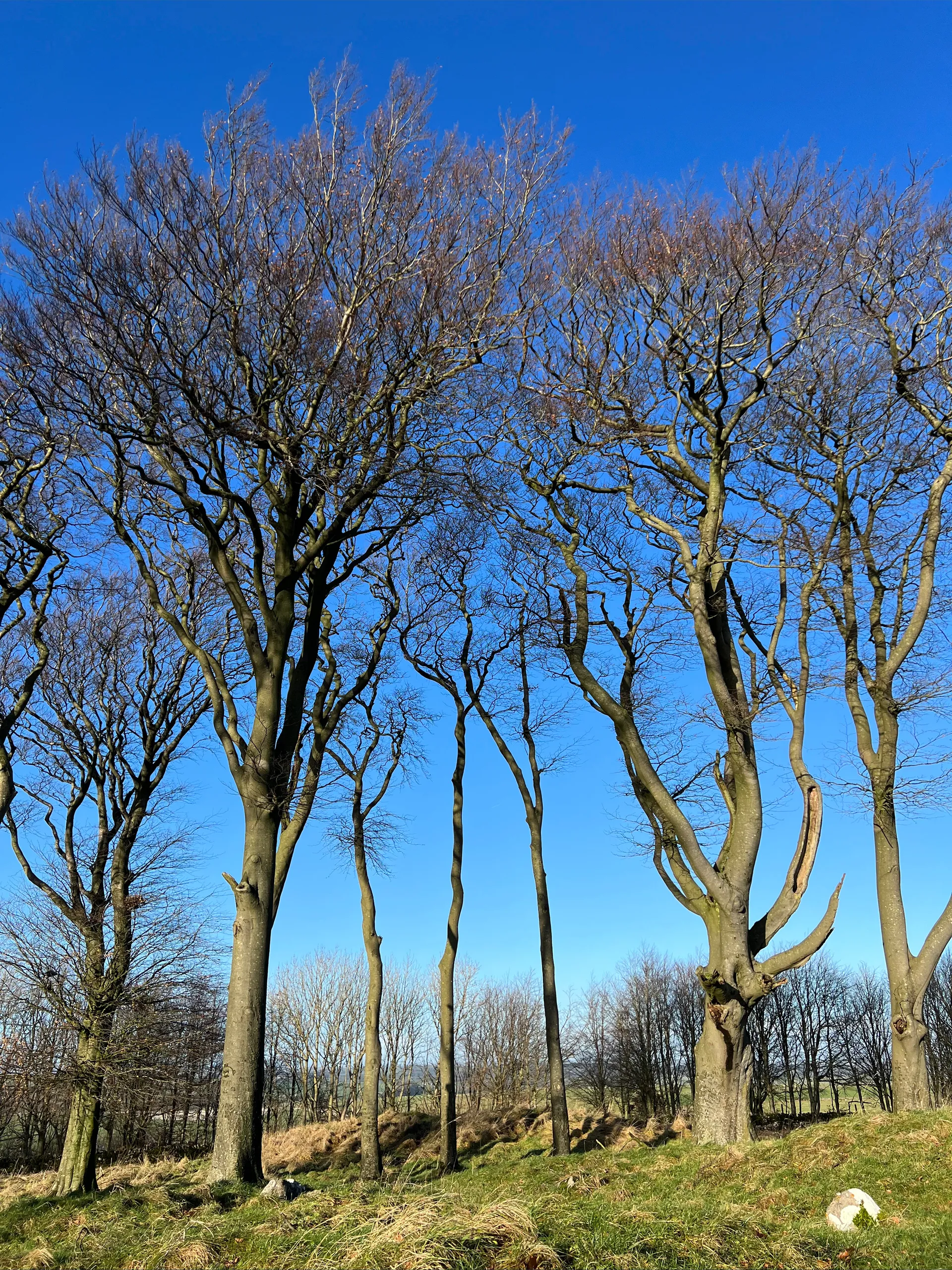 Ashleigh 🦈 OnlyFans header