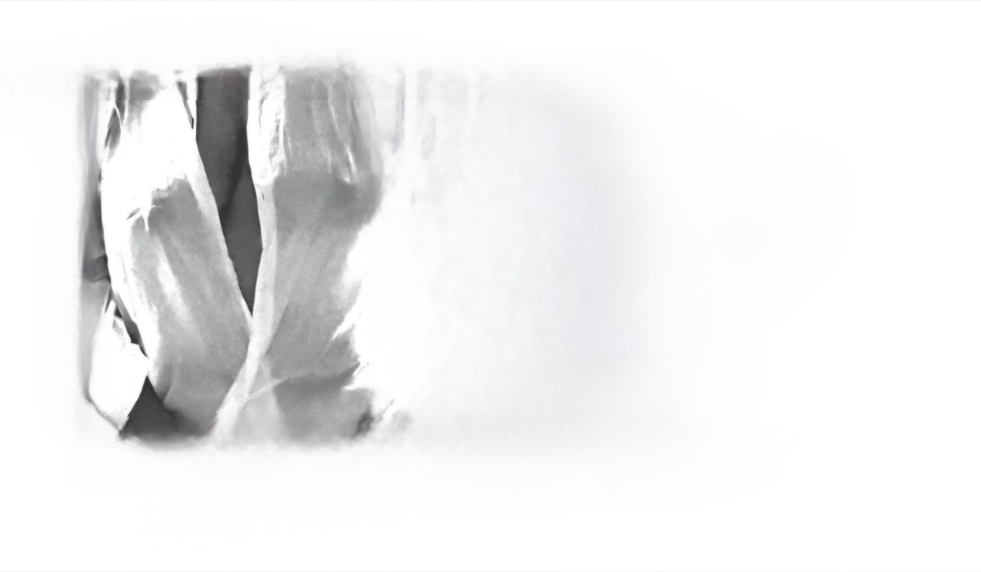 𝔸𝕤𝕙𝕝𝕖𝕪𝕪𝕪 OnlyFans header