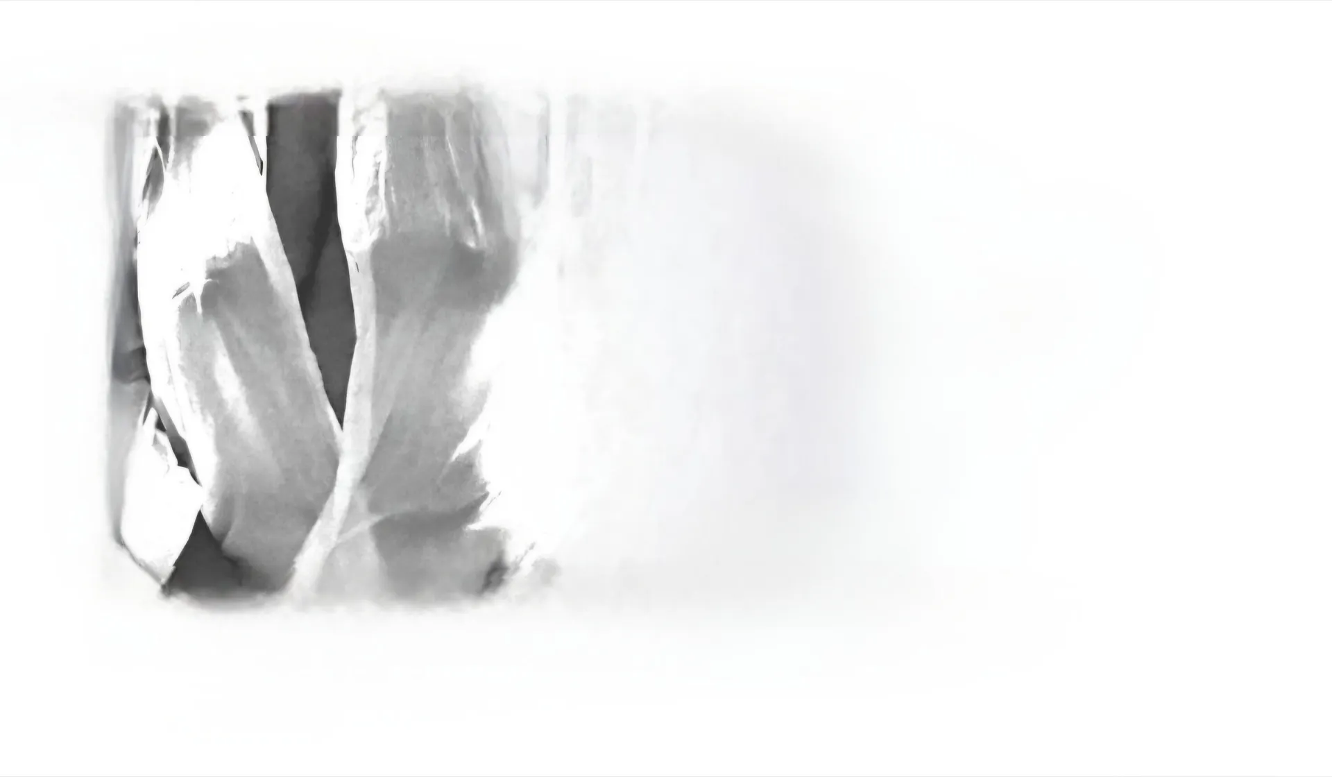 𝔸𝕤𝕙𝕝𝕖𝕪𝕪𝕪 OnlyFans header