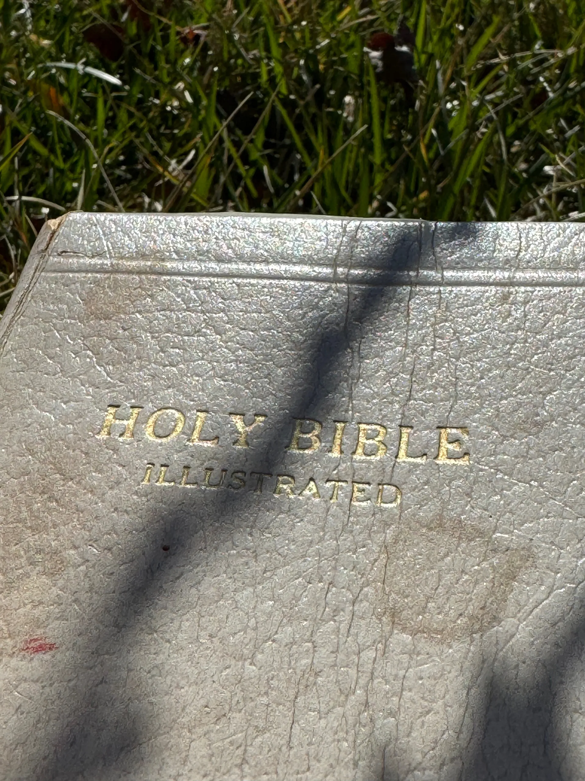 Ashley OnlyFans header