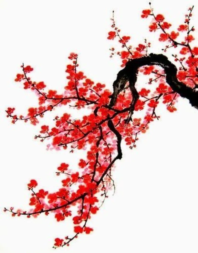 AsianAmy OnlyFans header