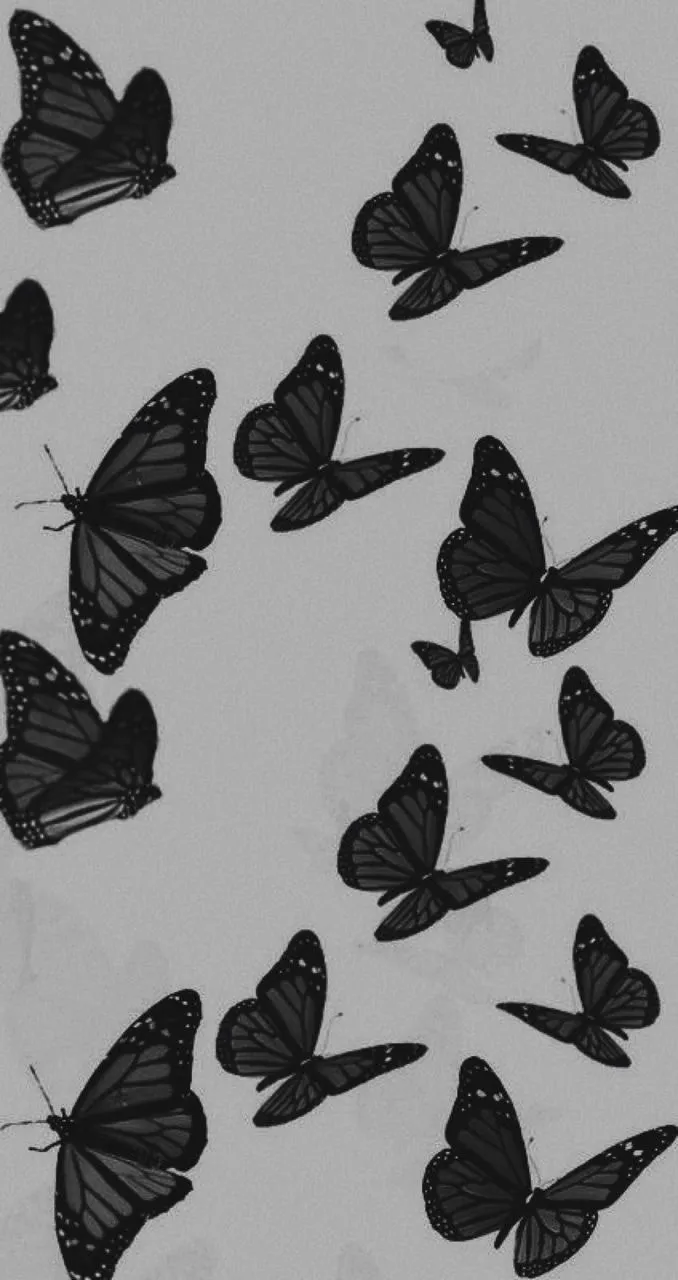 Assherey OnlyFans header