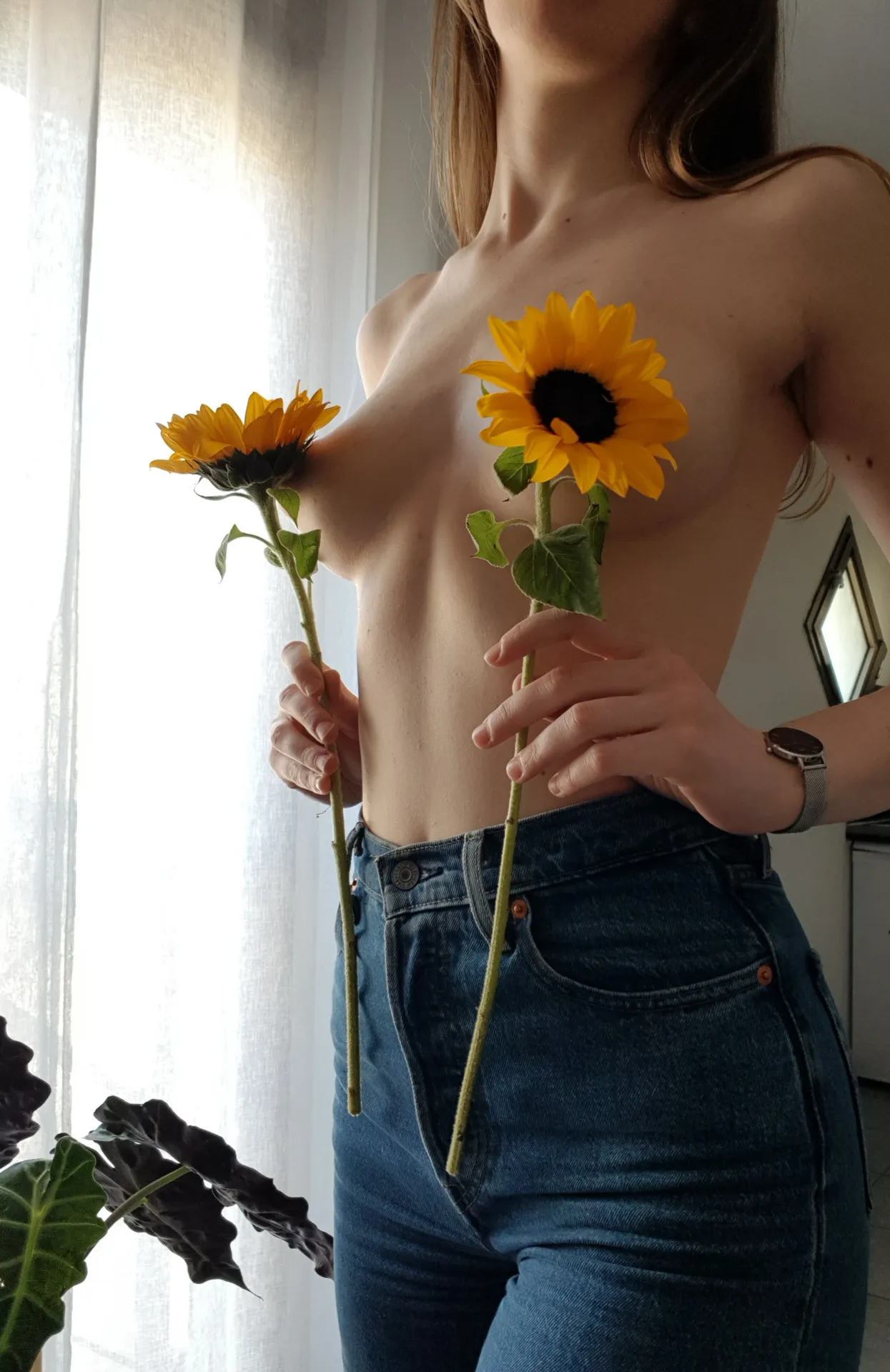 AsYourFrenchGirls OnlyFans header