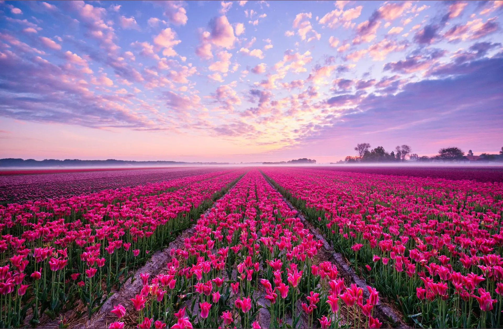 Yoselyn riera OnlyFans header