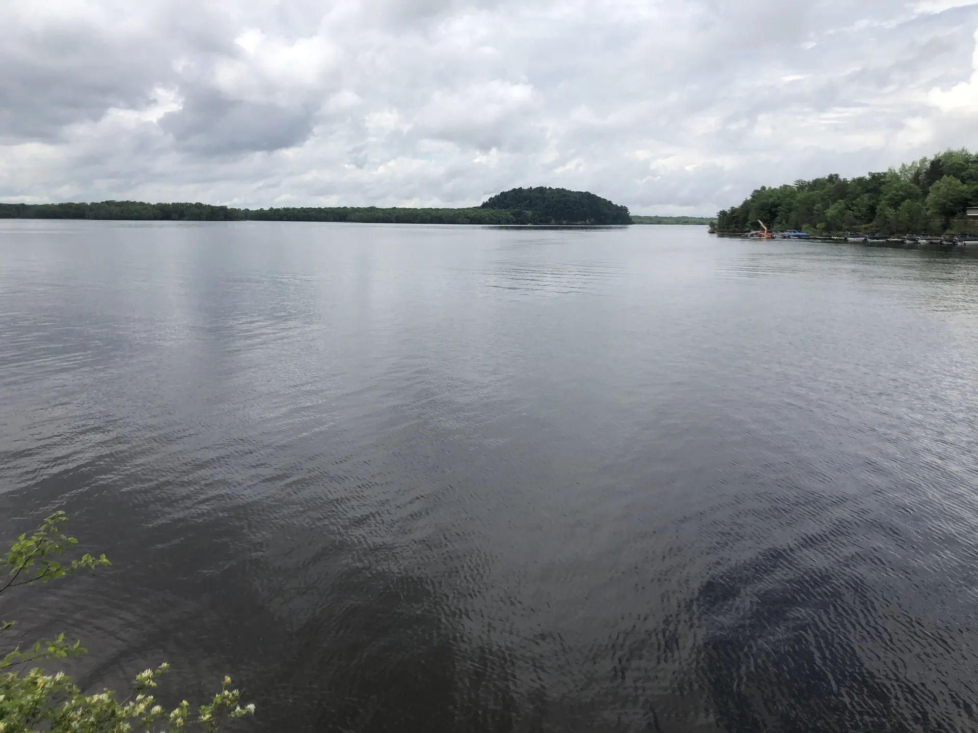 Allie OnlyFans header