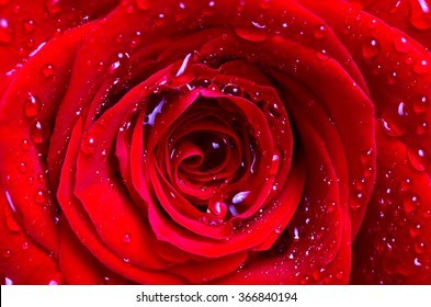 Atheena King OnlyFans header