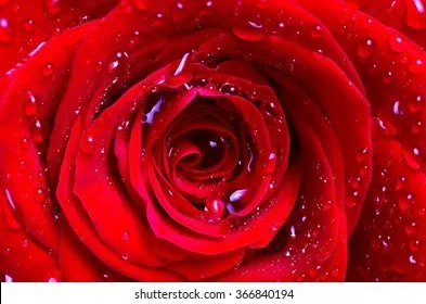 Atheena King OnlyFans header