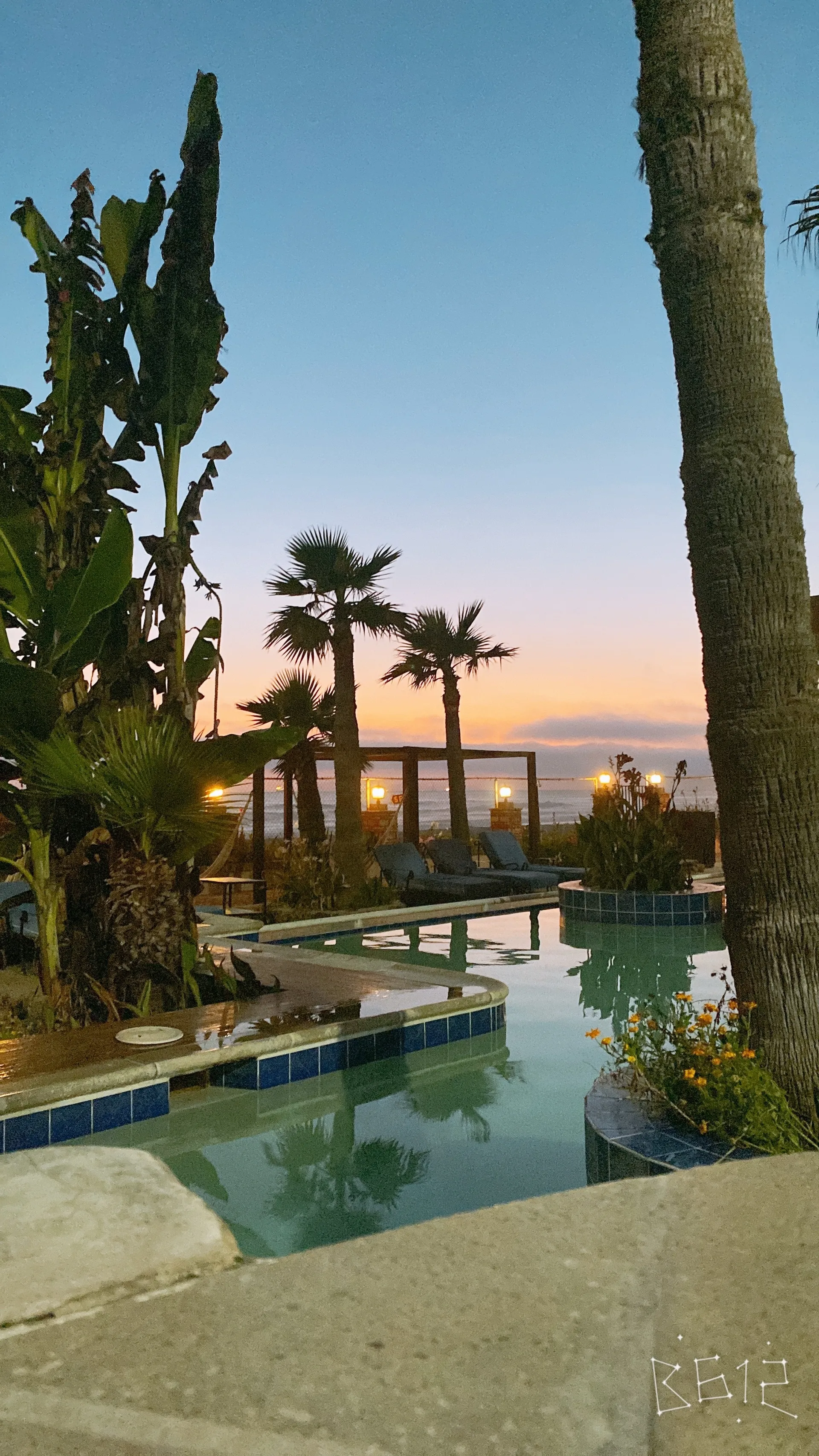 Selena OnlyFans header