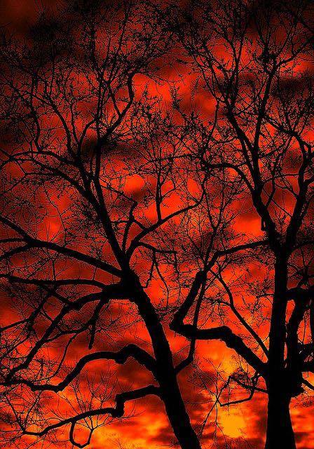 athenadivine OnlyFans header