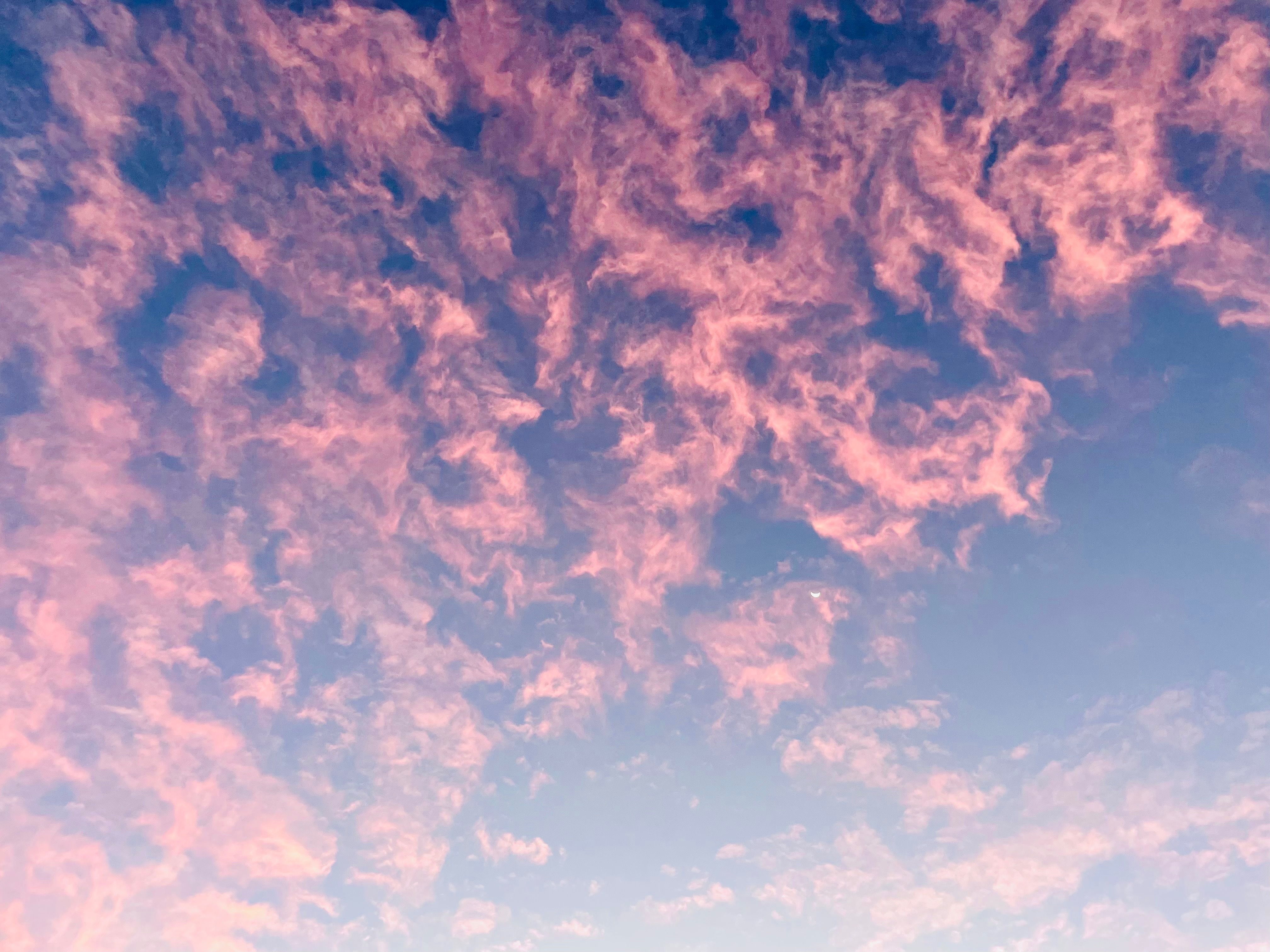 Athena Rue OnlyFans header