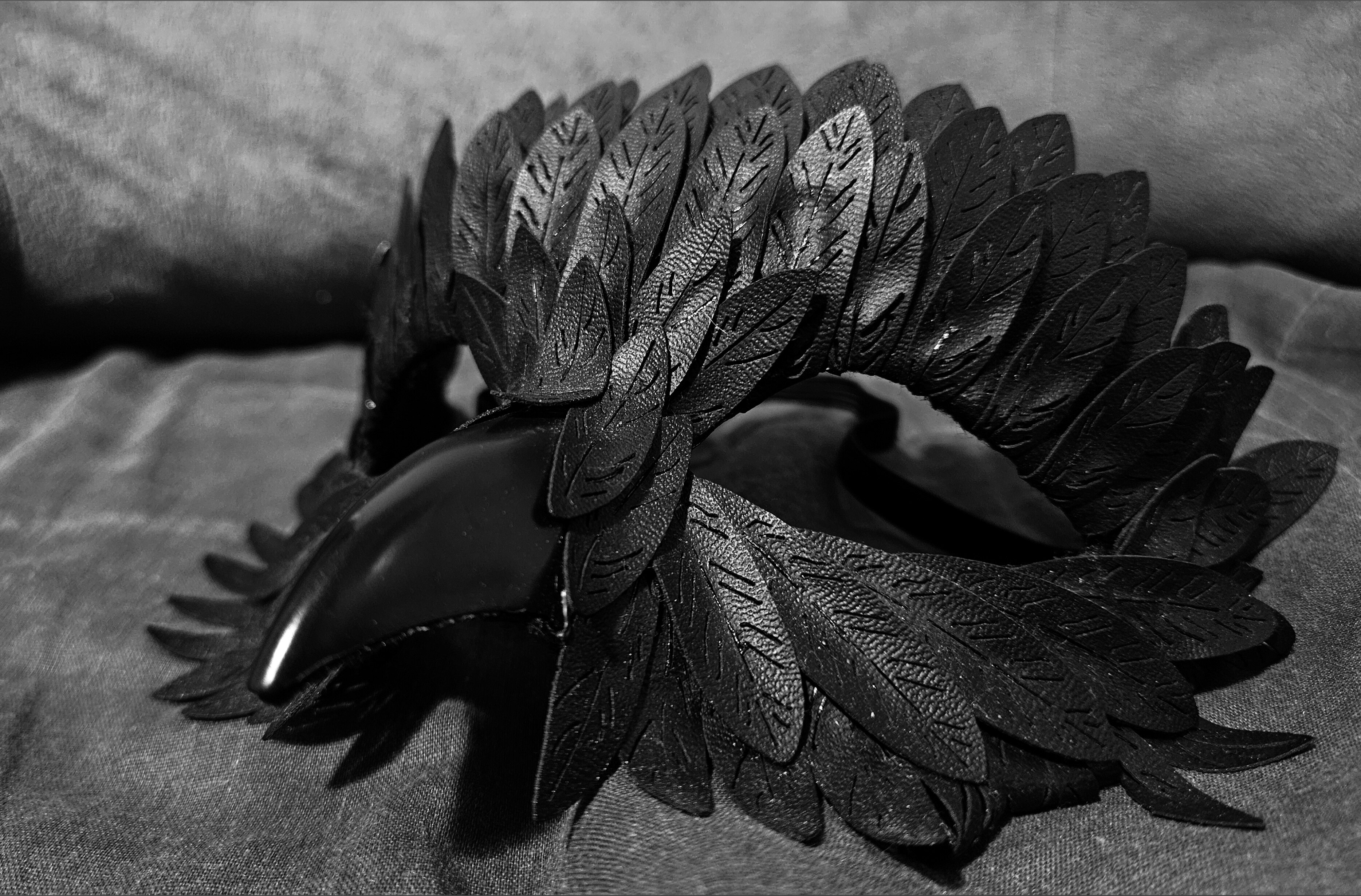 A Lost Raven OnlyFans header