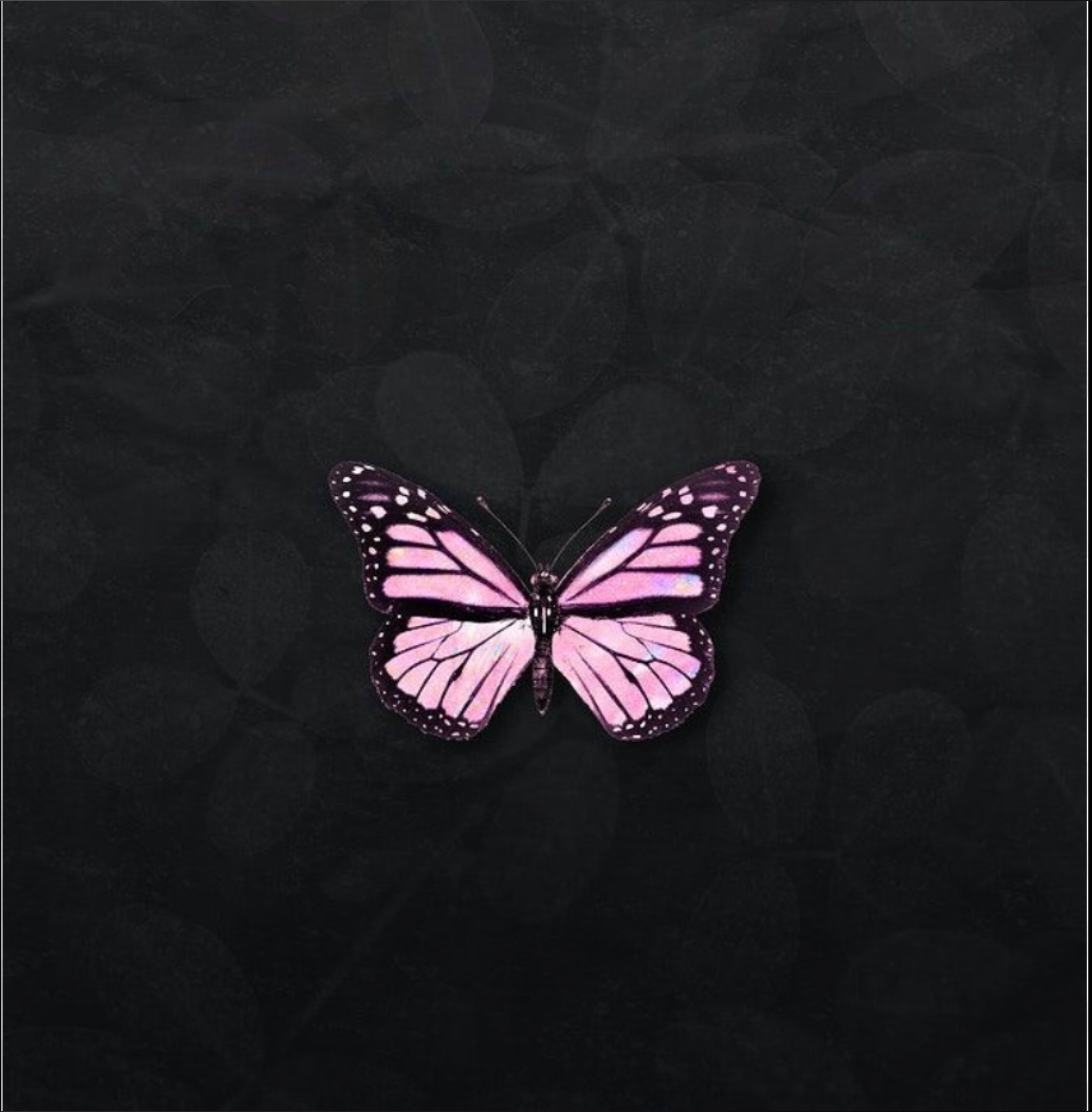 Athlete Baby OnlyFans header