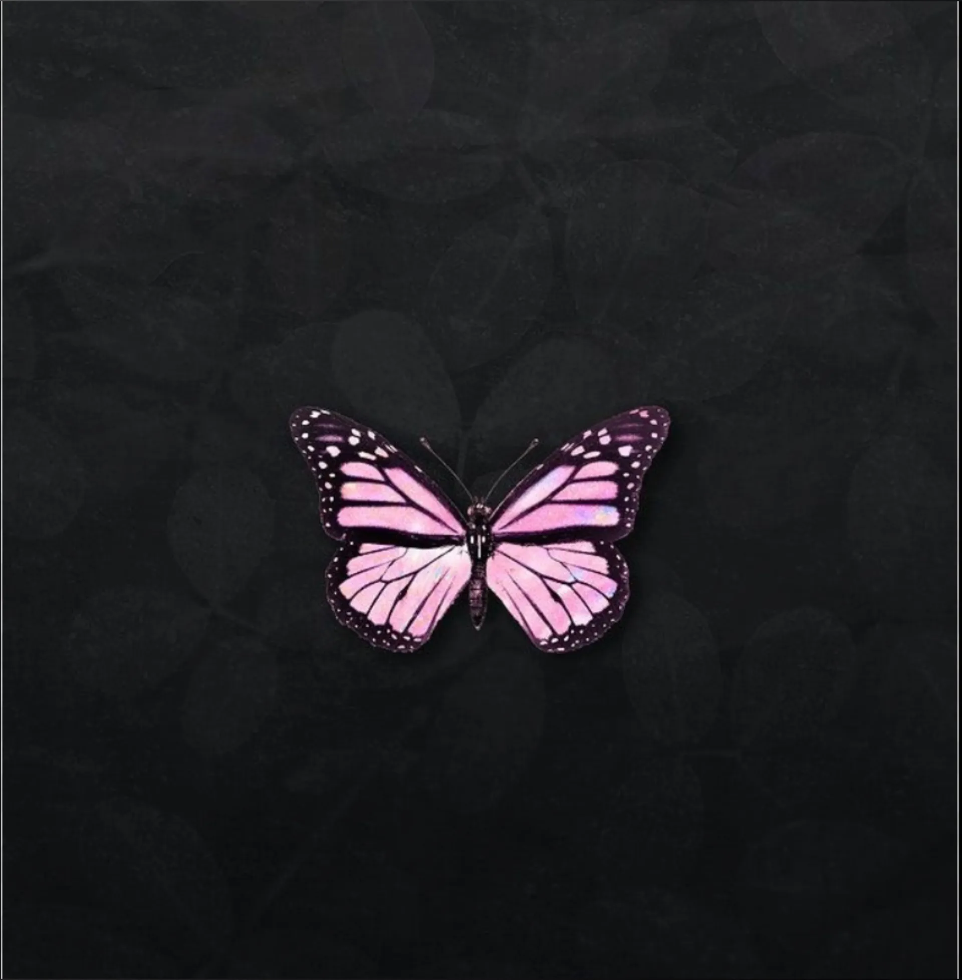 Athlete Baby OnlyFans header