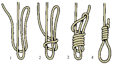 a thousand or so OnlyFans header