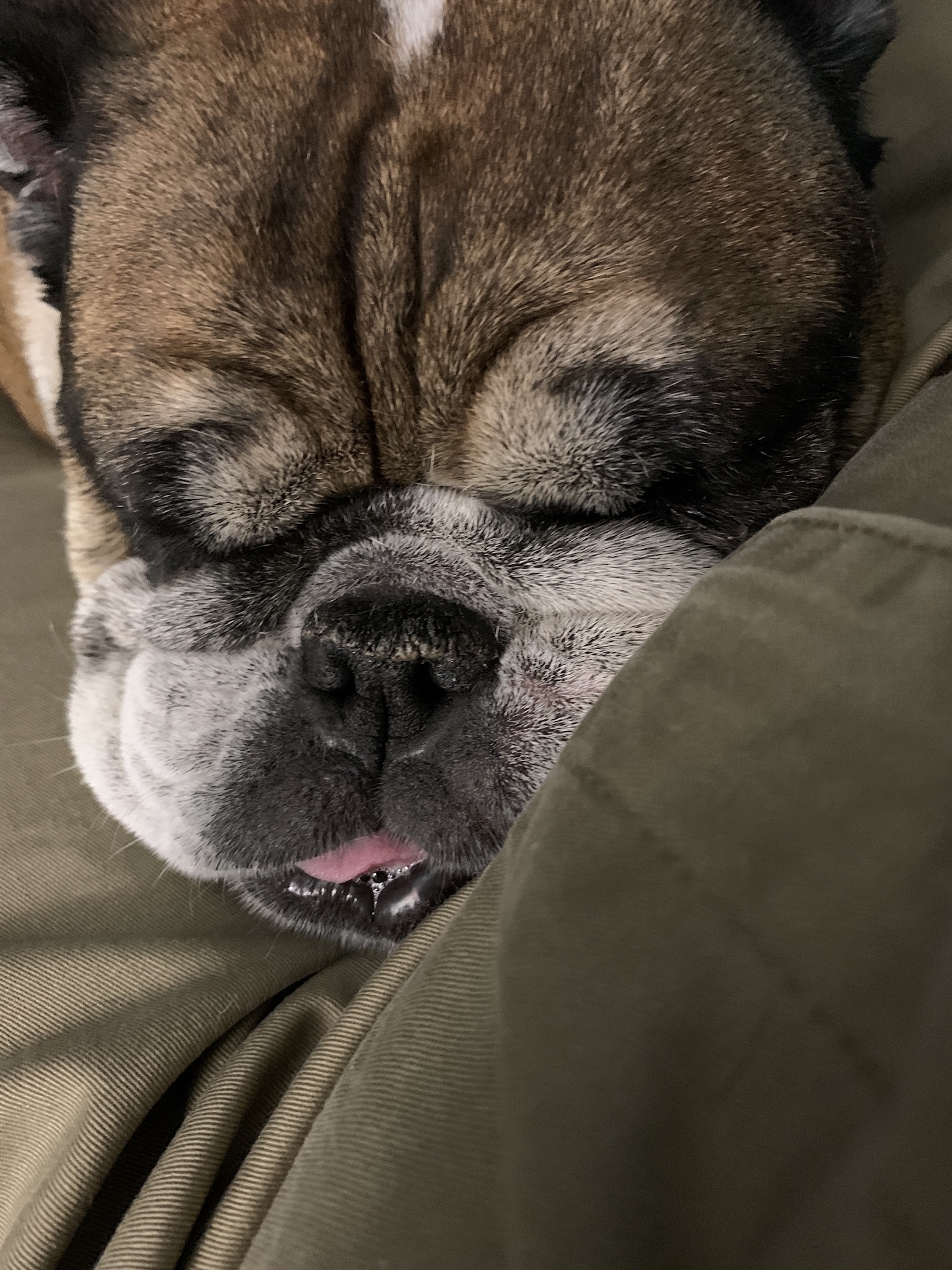 I'm Steve OnlyFans header