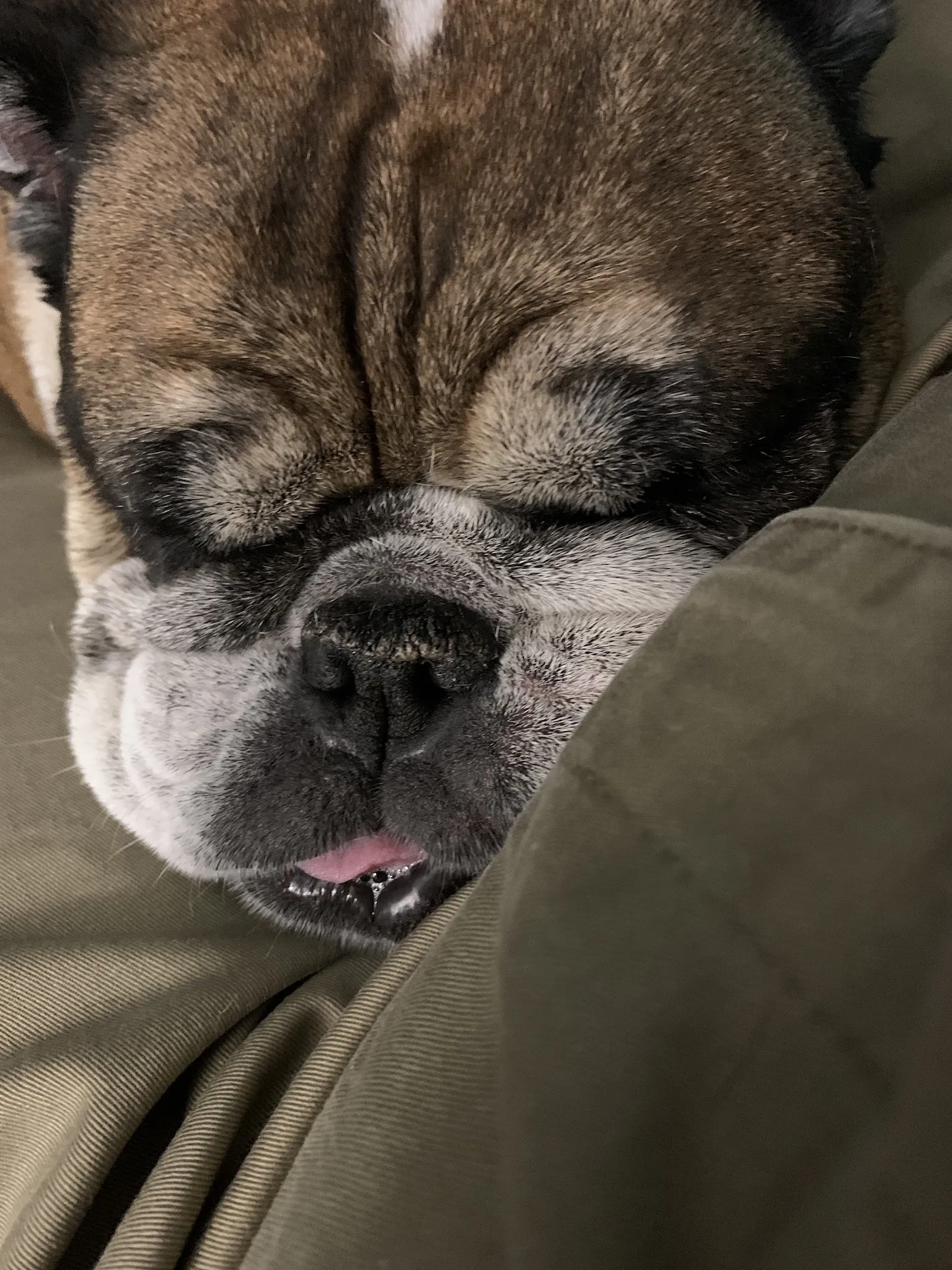 I'm Steve OnlyFans header