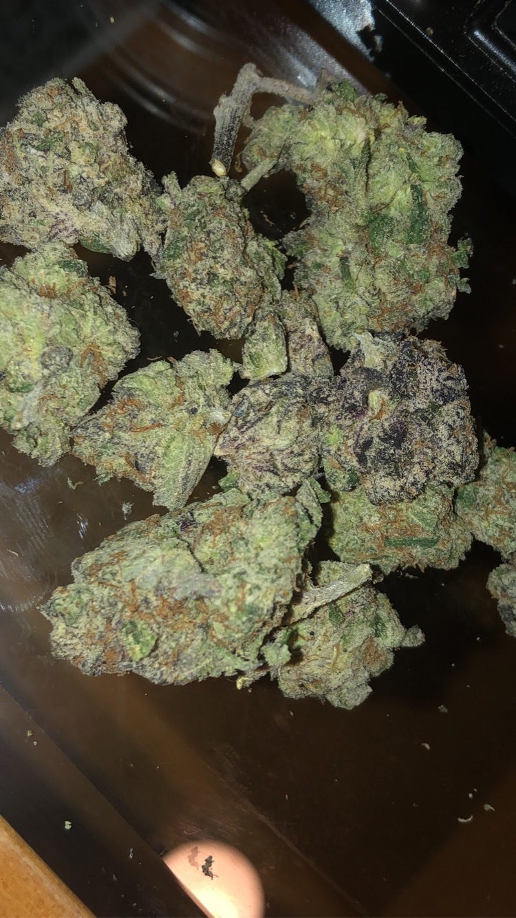 Mr.Flash OnlyFans header