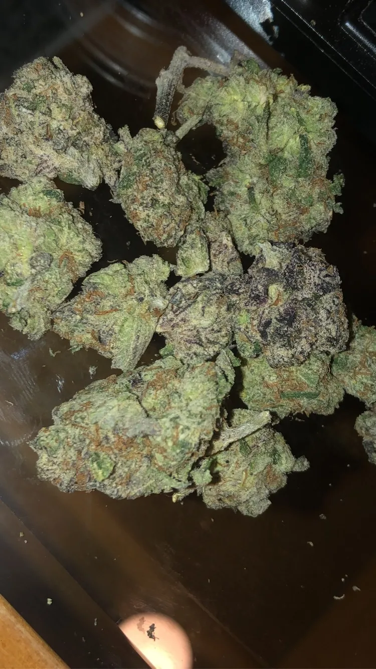 Mr.Flash OnlyFans header