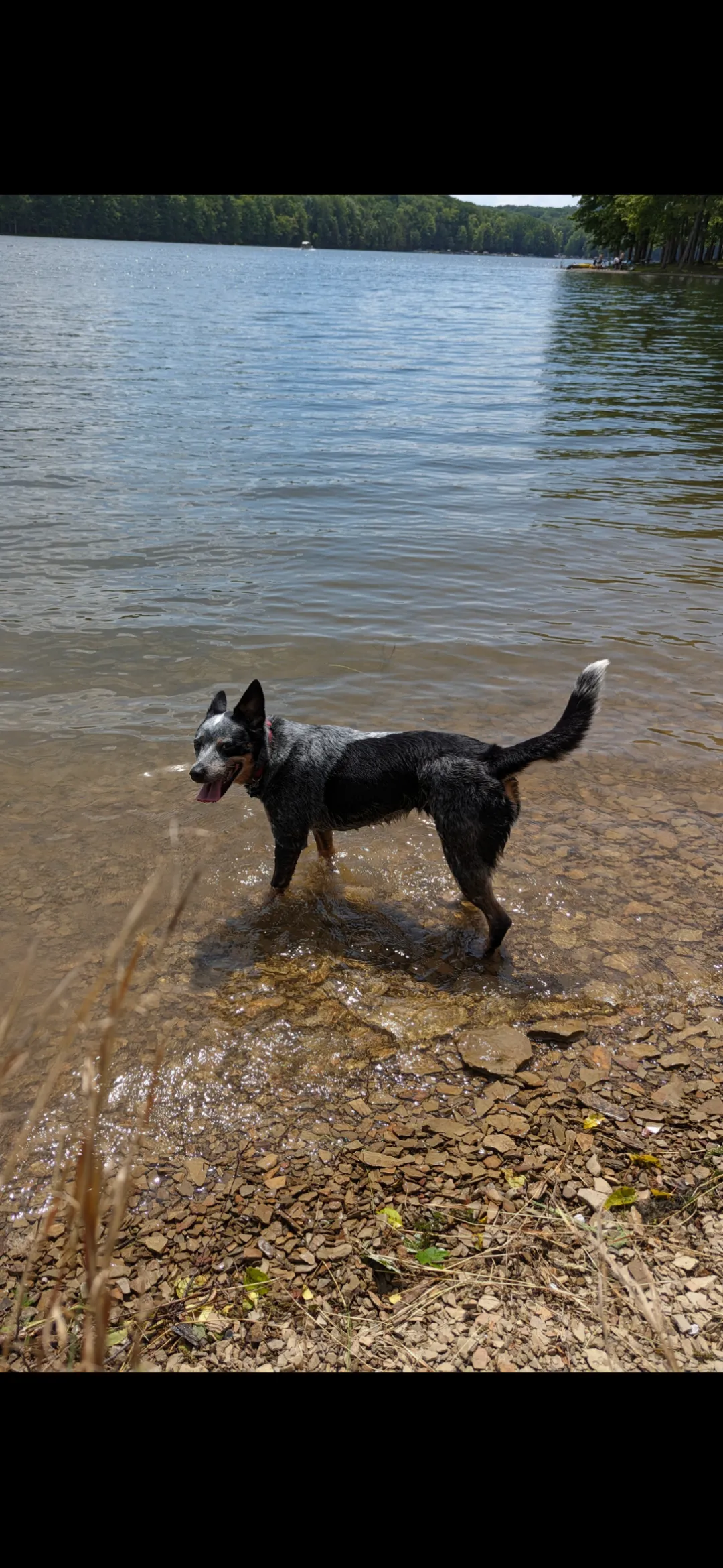 Heinrich Hammer OnlyFans header