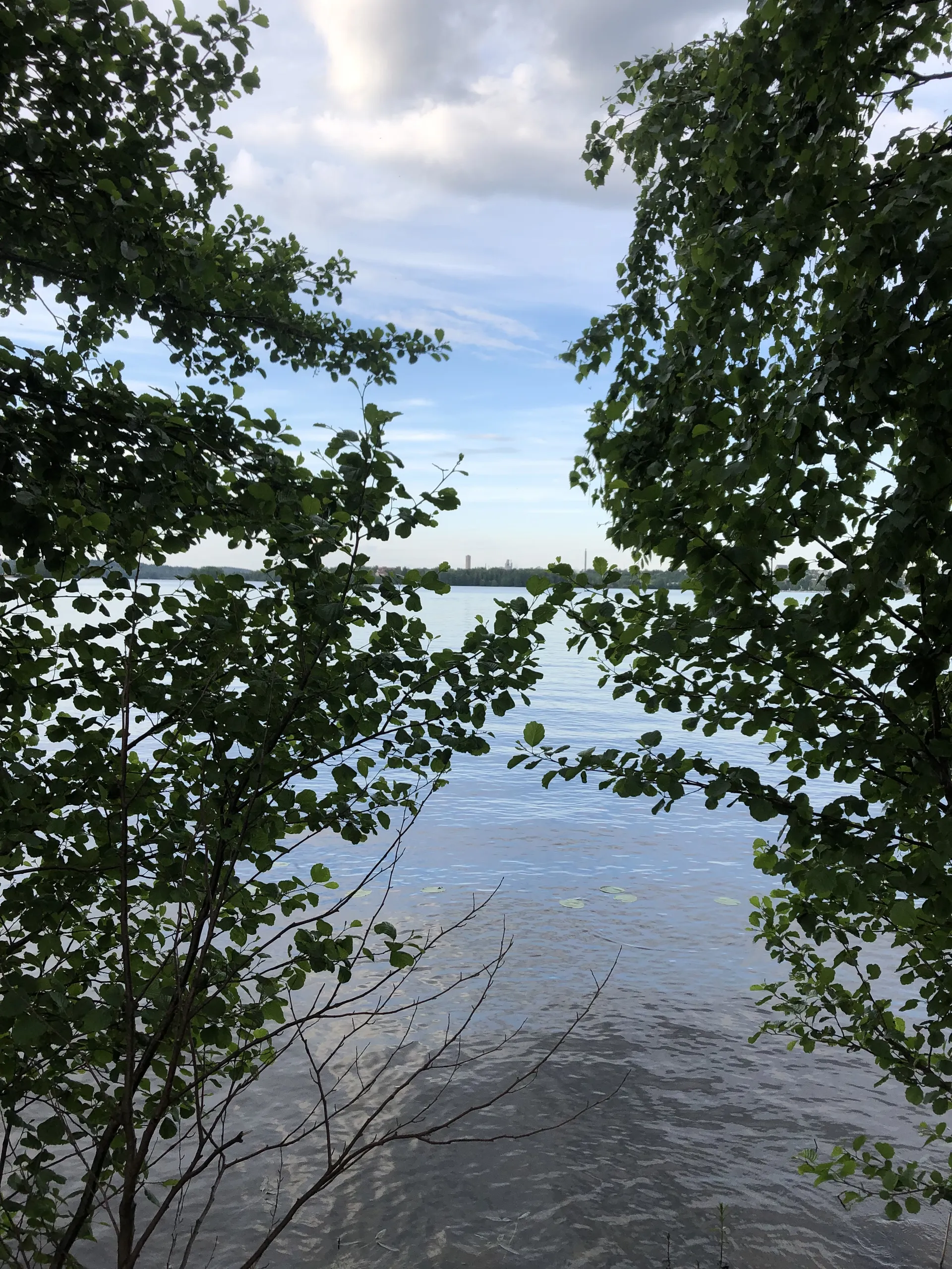 Attentionhobit OnlyFans header