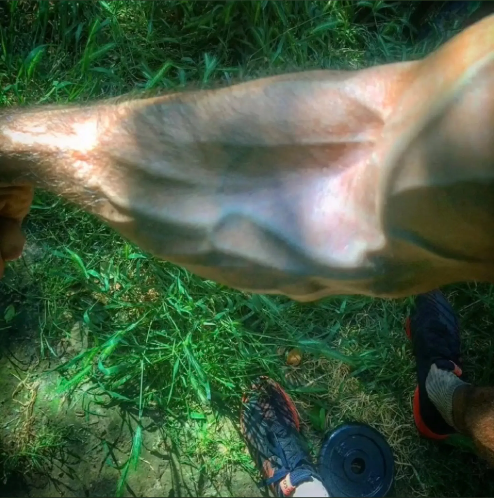 Atticus OnlyFans header