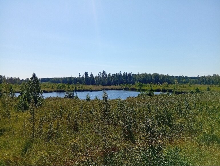 atVulpes OnlyFans header