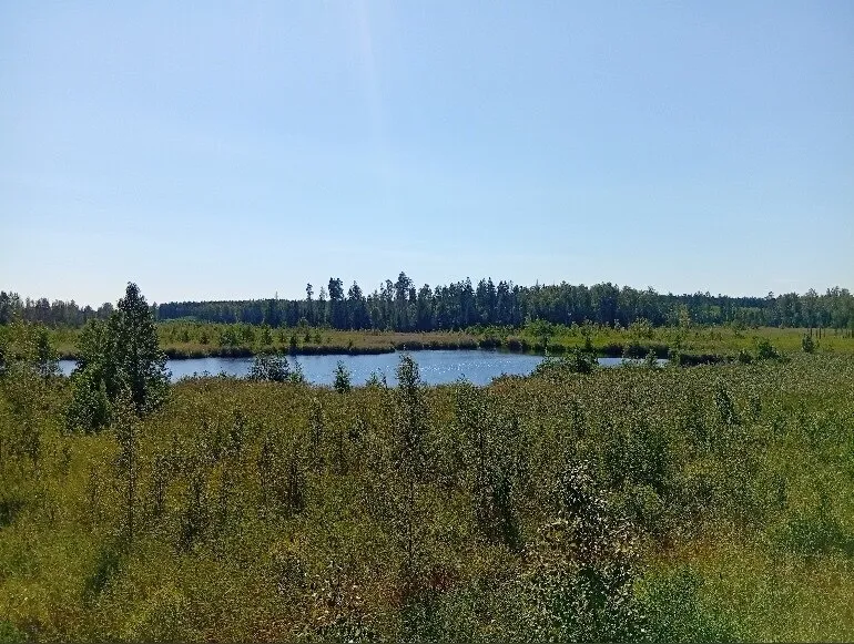 atVulpes OnlyFans header