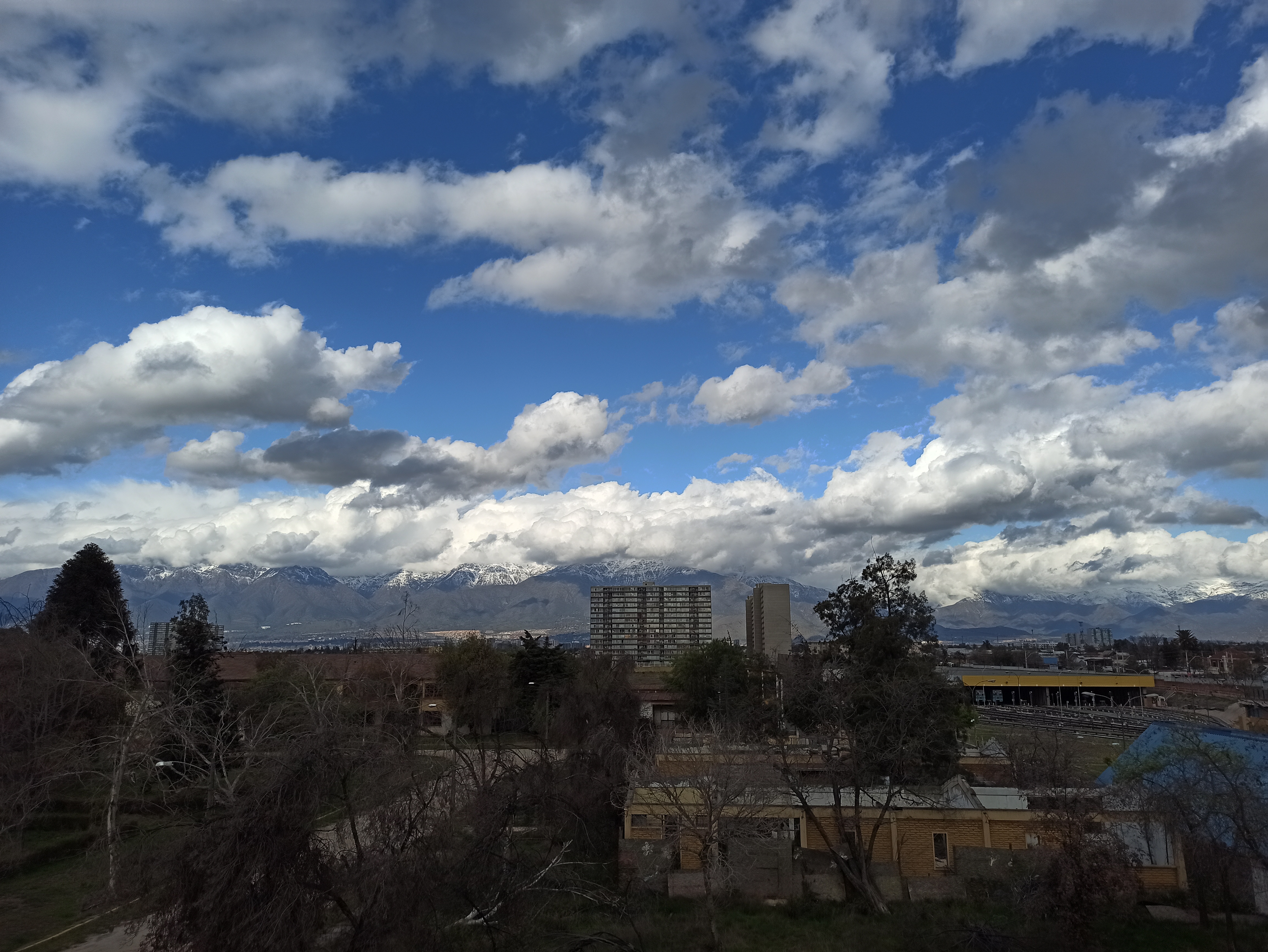 wolfD OnlyFans header