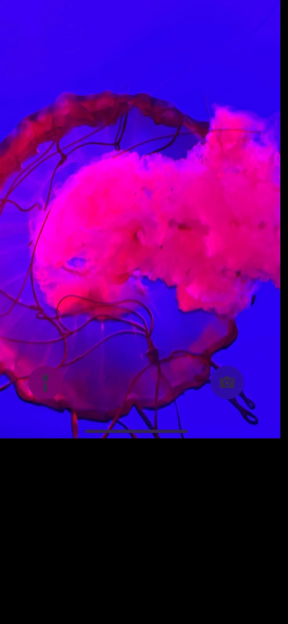 Aubrey OnlyFans header