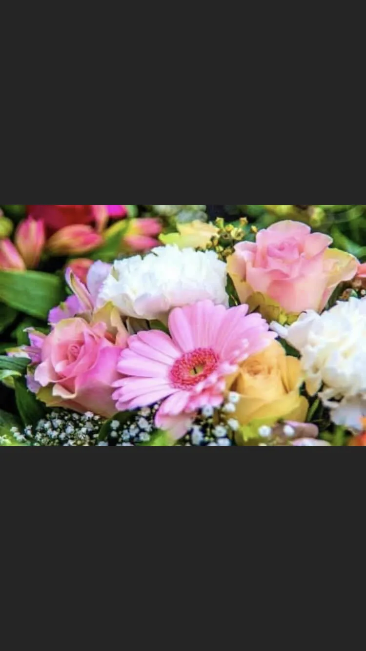 Aubrey Miranda 👸🏻💄🤗 OnlyFans header