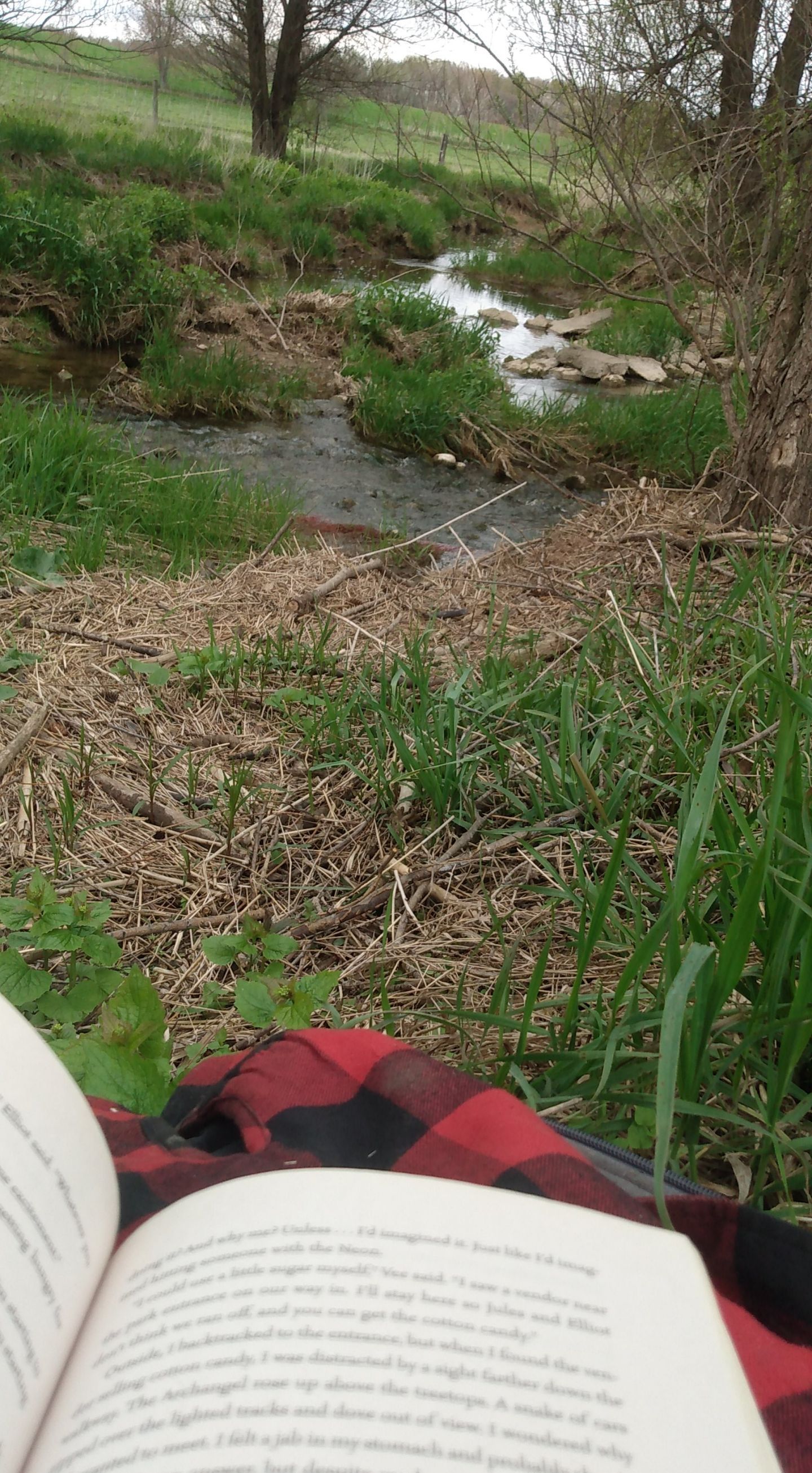 Aubrey OnlyFans header