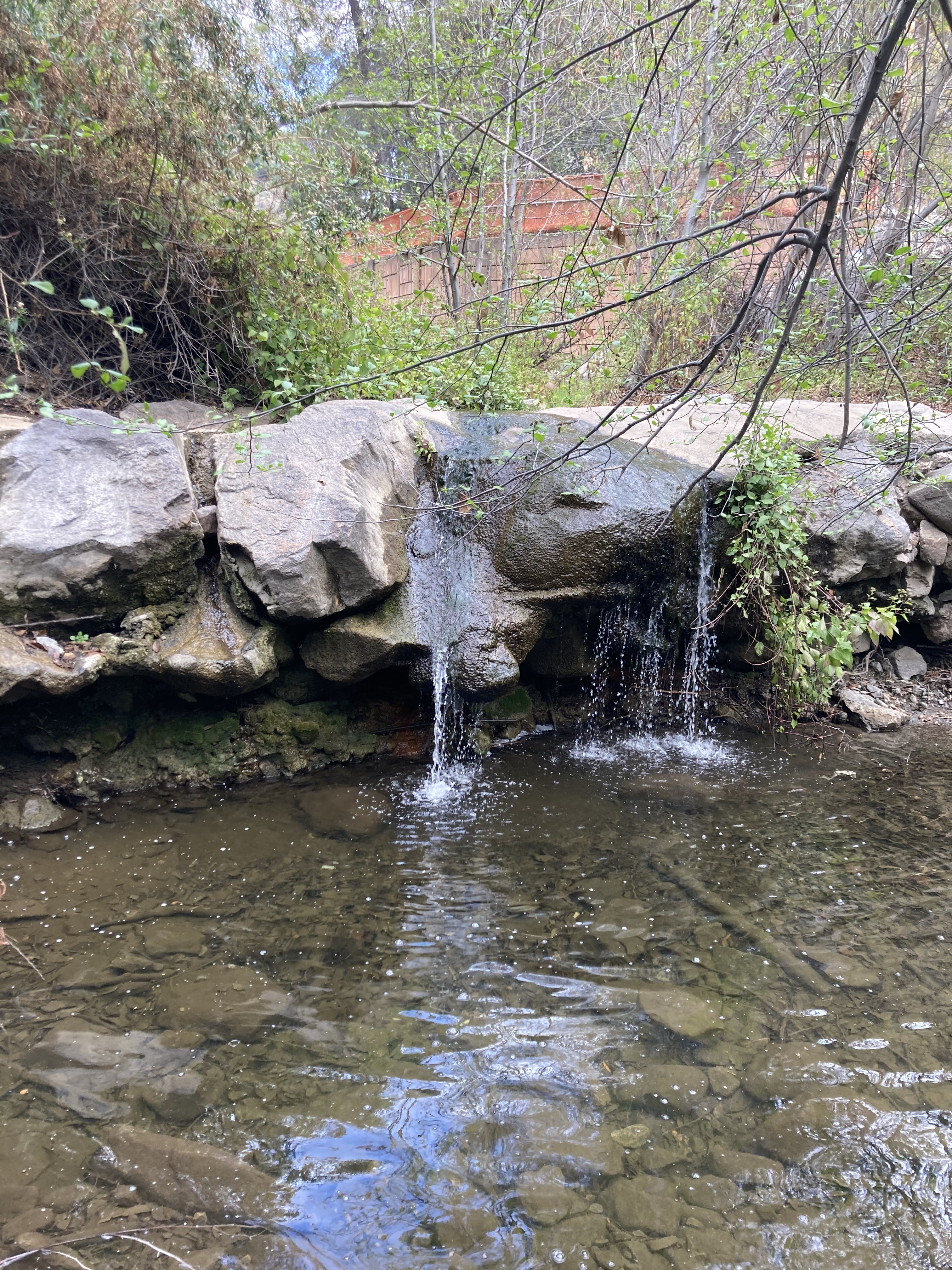 Aubrey Lee OnlyFans header