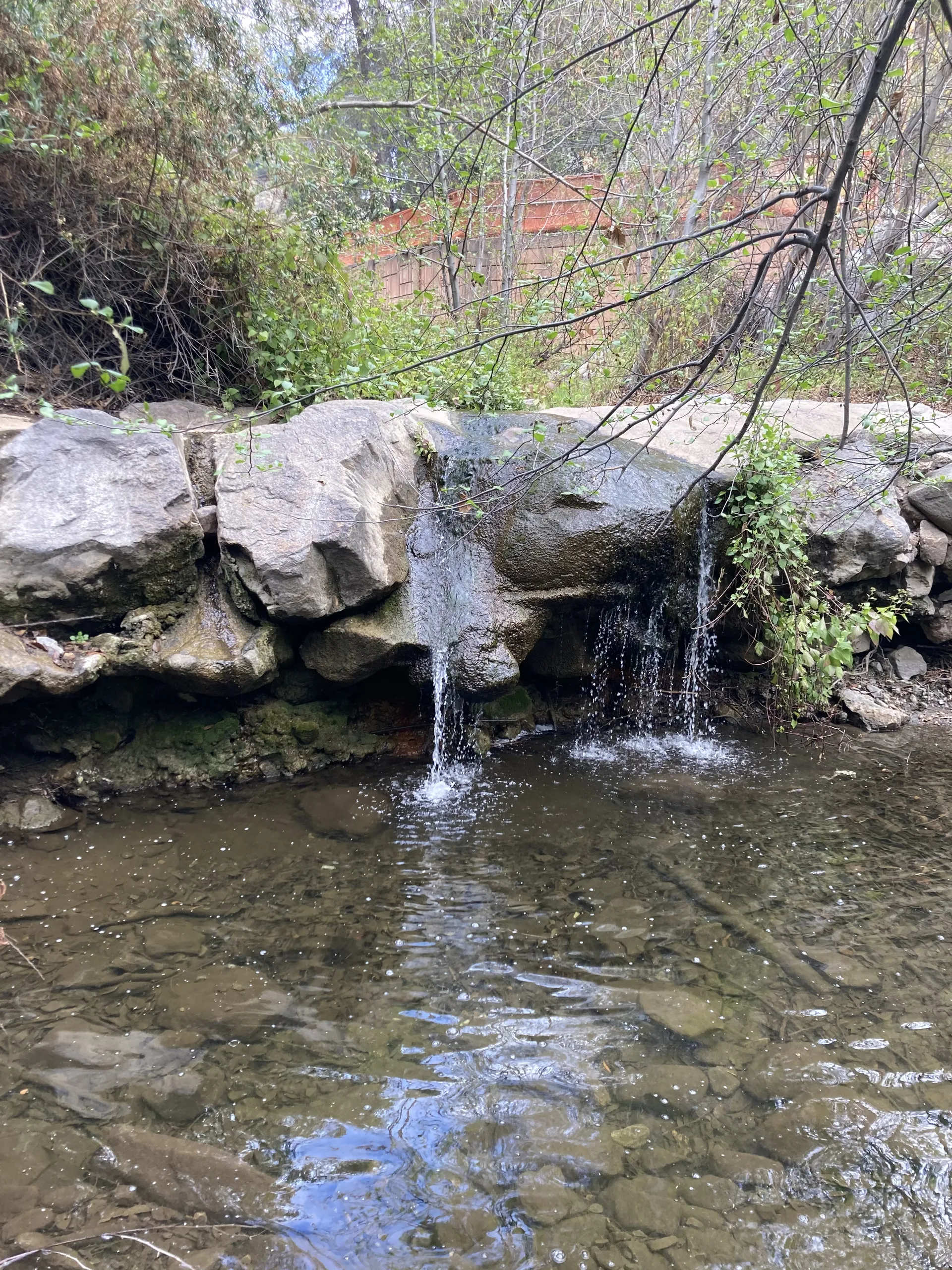 Aubrey Lee OnlyFans header