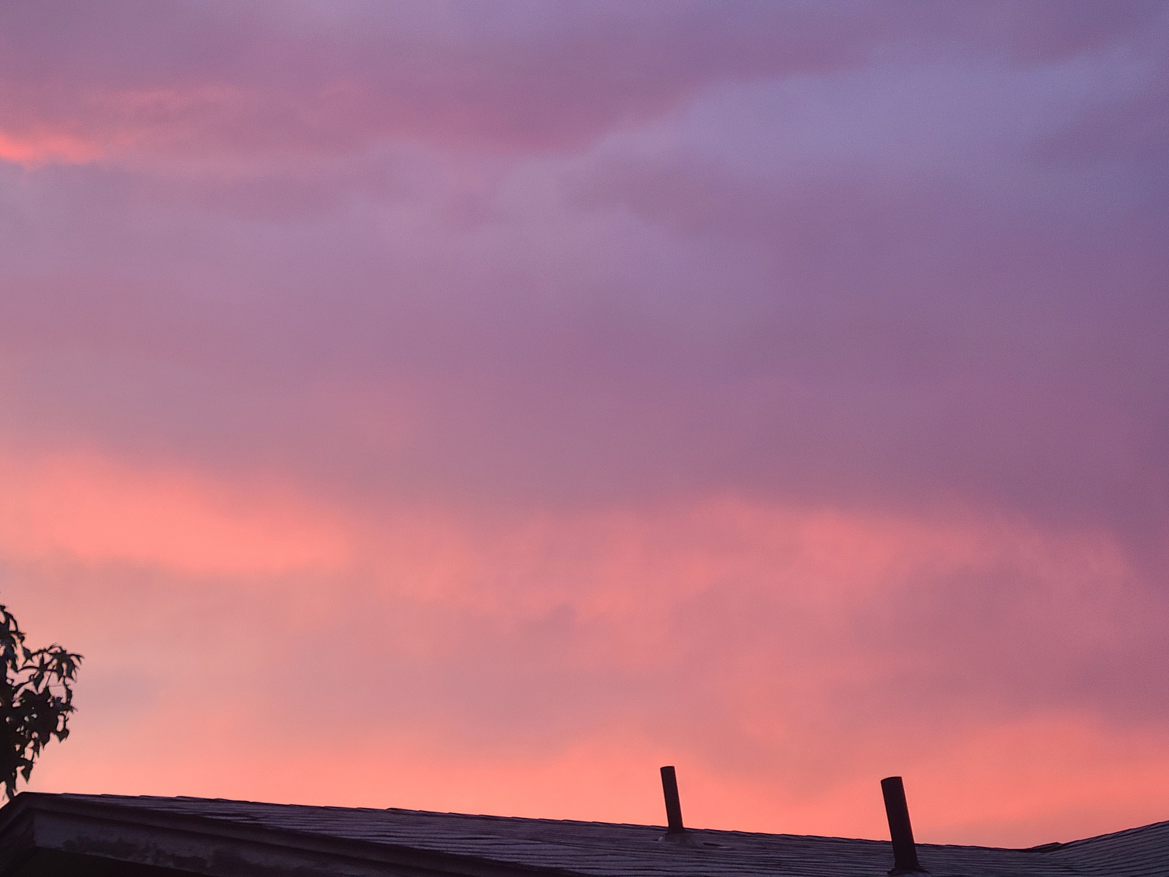 Aubrey Reader OnlyFans header