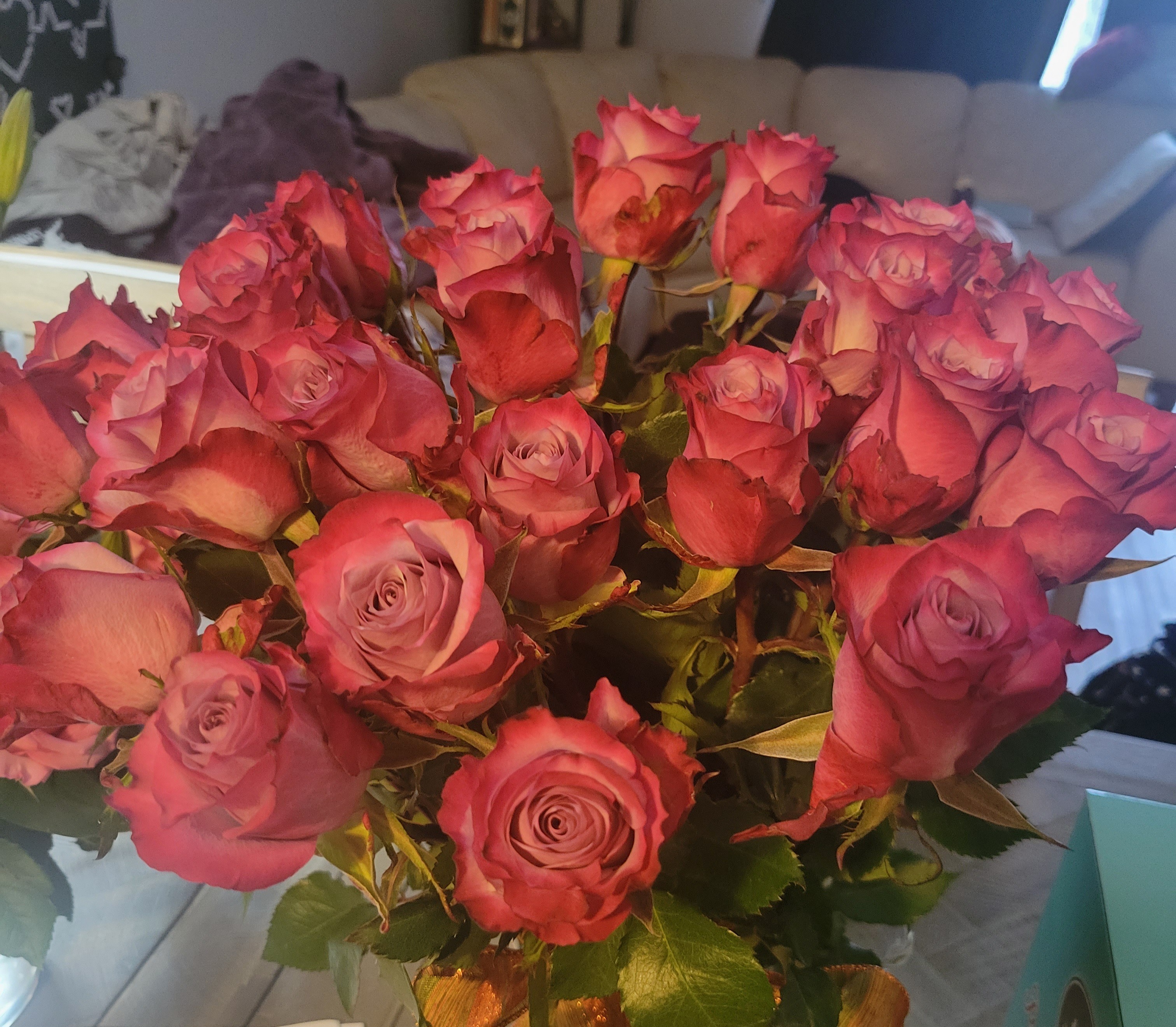 Aubrey Stone OnlyFans header