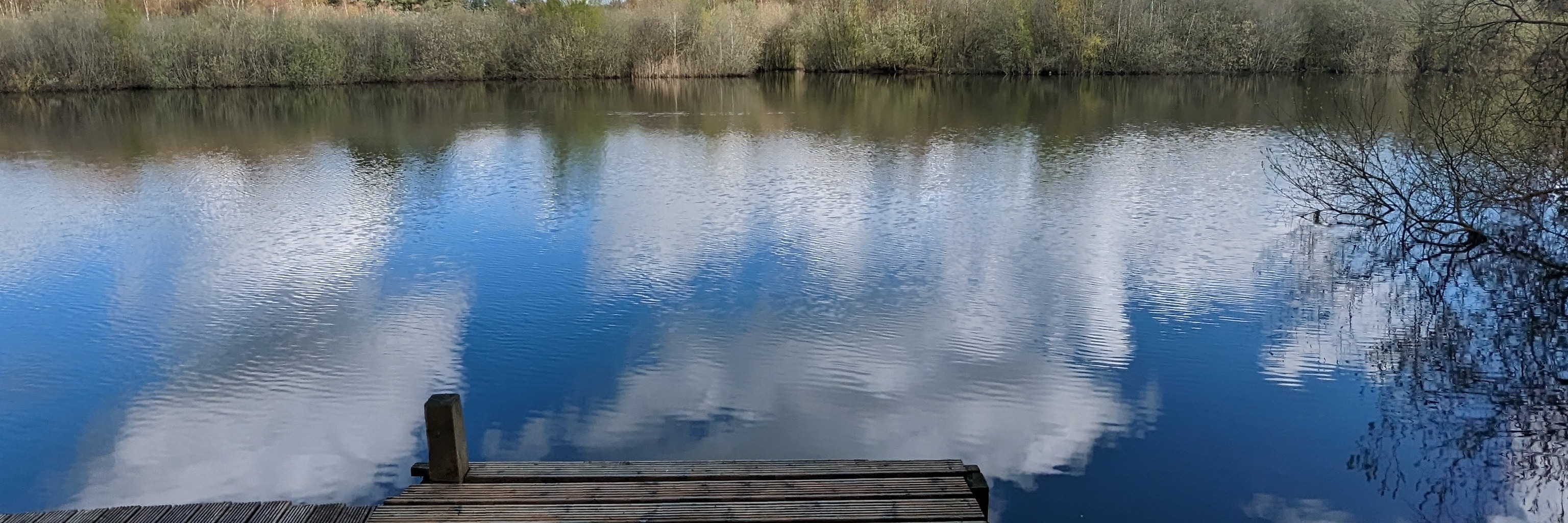 Auburn_unicorn OnlyFans header