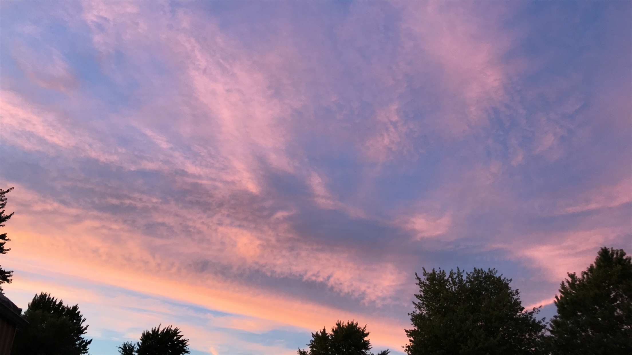 Audi OnlyFans header