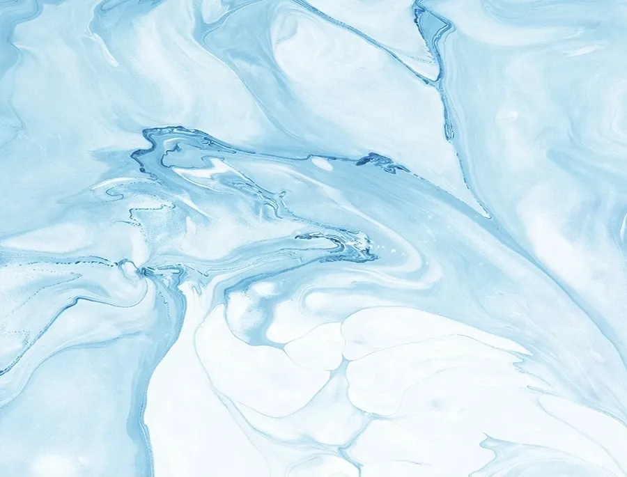 A 🐉 OnlyFans header