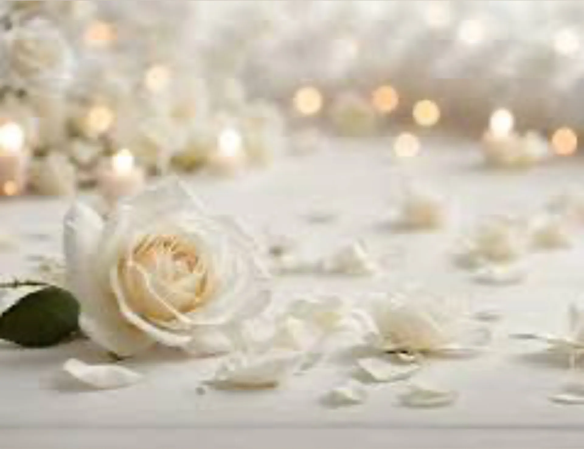 Audrey OnlyFans header