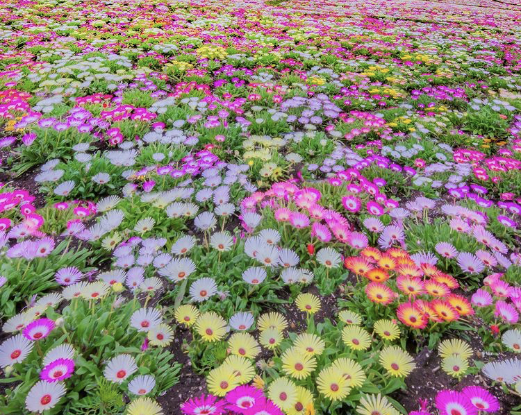 Audrey OnlyFans header