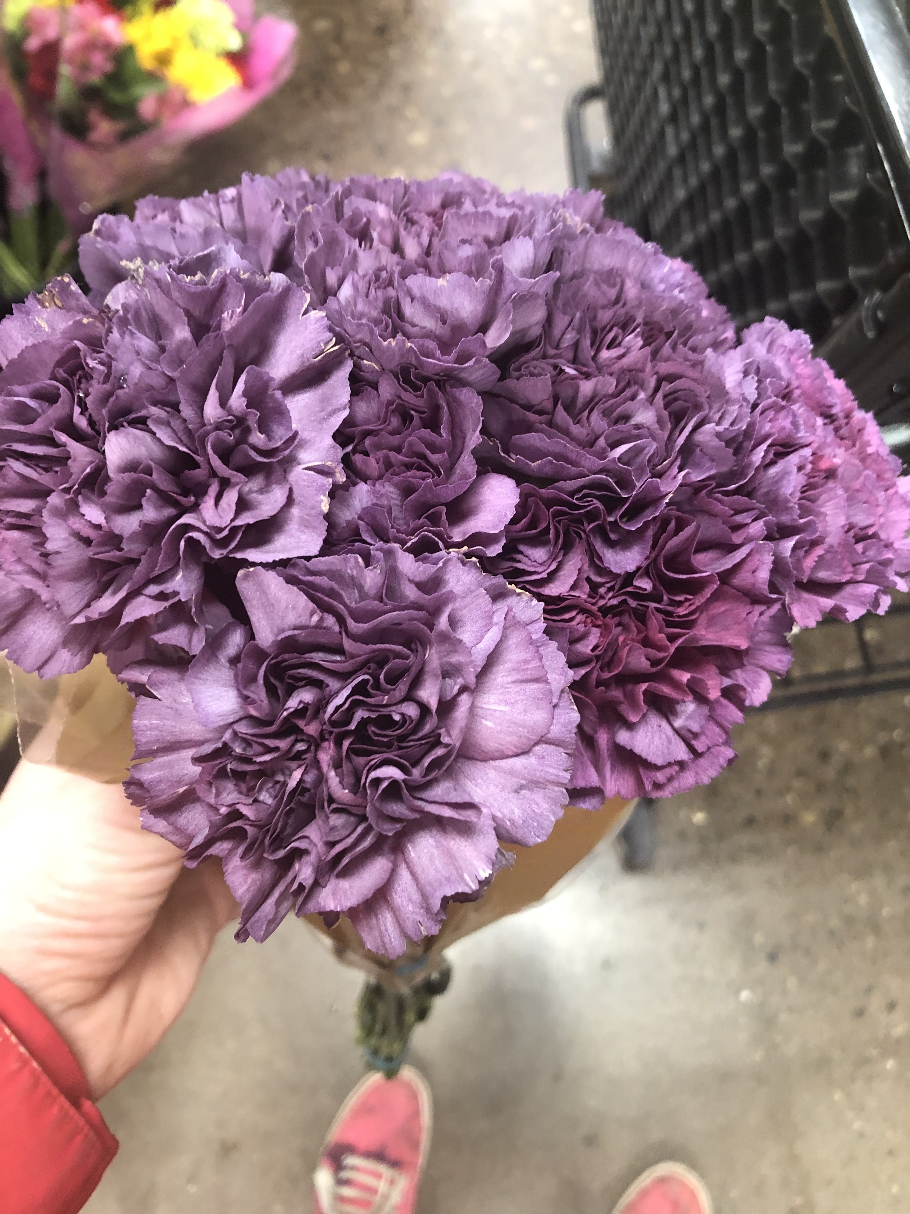 AUDREY OAKLEY OnlyFans header